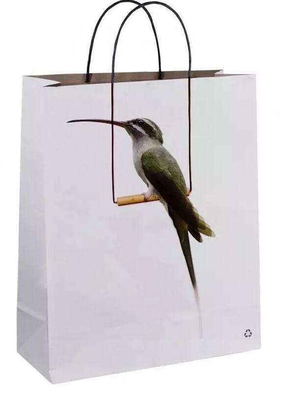 鸚鵡手提袋 鸚鵡紙質(zhì)手提袋