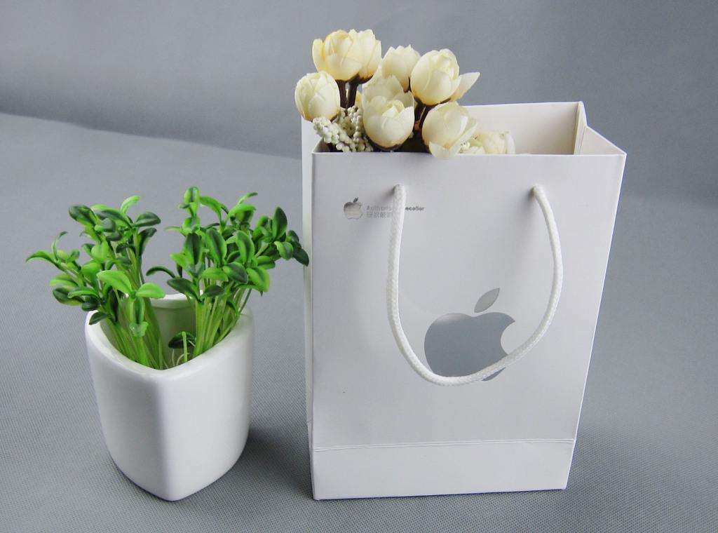 蘋(píng)果手機(jī)紙袋 蘋(píng)果手機(jī)紙袋